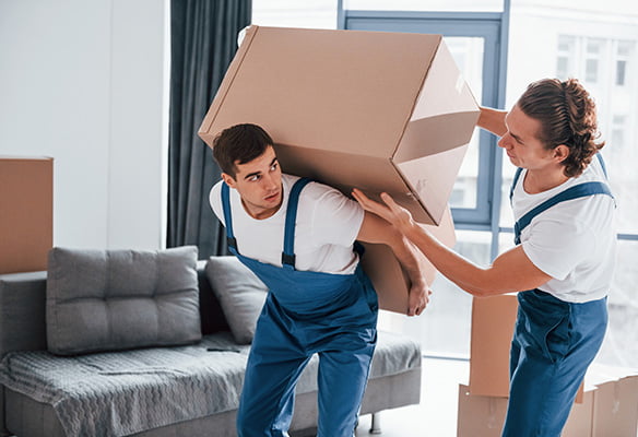 paradise packer & mover